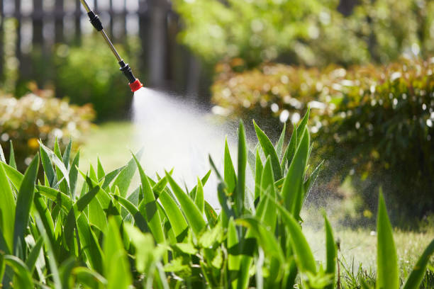 24/7 Emergency Mosquito Control experts in Port St. John, FL