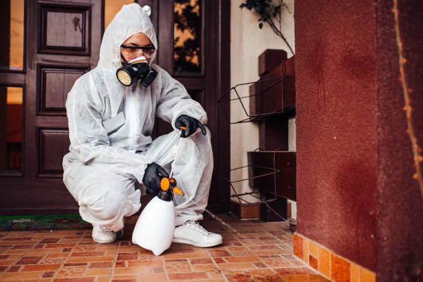 Reliable Mosquito Control contractor in Port St. John, FL by Show Me Pest Control