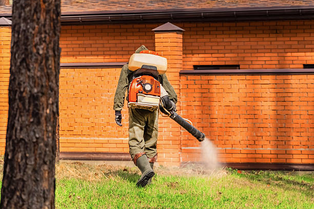 Top rated local Mosquito Control specialists in Port St. John, FL